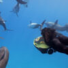 SEABOB F5 SR Underwater Scooter - Image 9