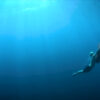 seabob-04