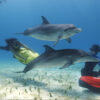 SEABOB F5 S Underwater Scooter - Image 8