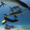 SEABOB F5 SR Underwater Scooter - Image 10