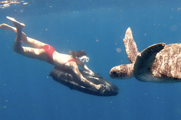 iaqua aquadart 720m dive scooter meets turtle