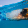 SEABOB F5 SR Underwater Scooter - Image 7