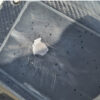 WaveShark Jetboard 2 (USED) - Image 4