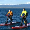 Red Shark Bikes Bike Surf Fitness - Image 8