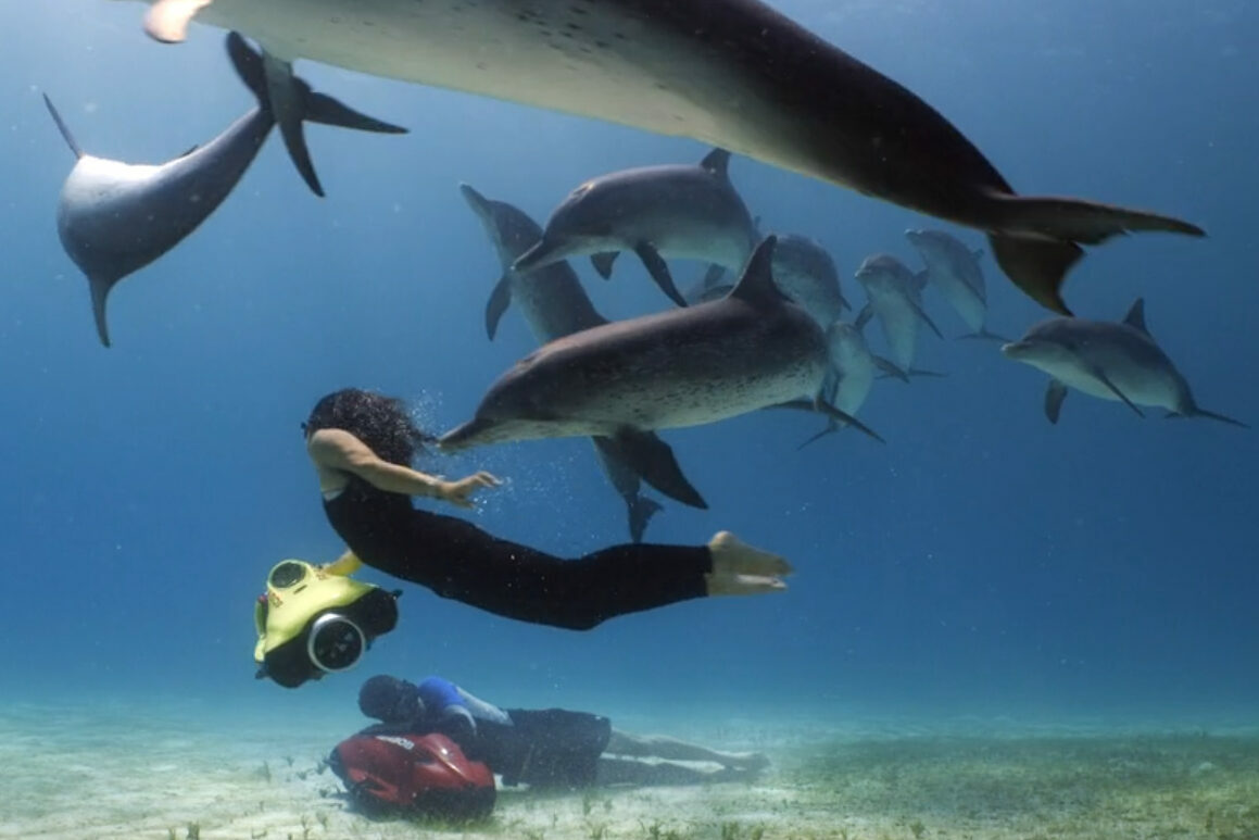 SEABOB F5 SR Underwater Scooter - Image 10
