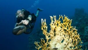 aqua dive scooter diver