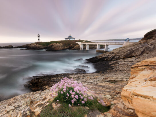 sea and beautiful flowers in Menorca